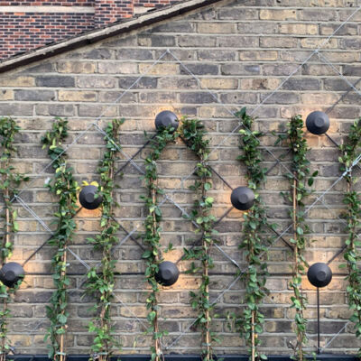 PasdedeuxLondon.fe77562b4bcc2c3f9a995f8fefe8b8b9