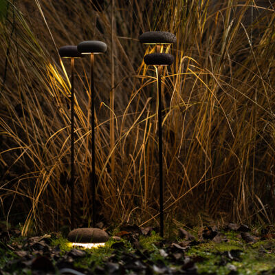 categorie-root_960x780_esterno_2023