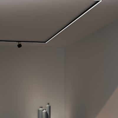 letroh_appl_viavai_mono_squared-scaled